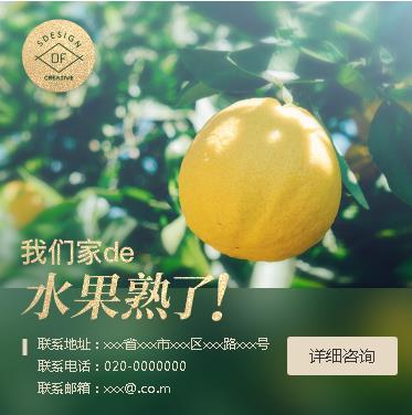 磐石果园果林小程序开发